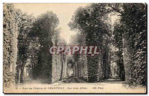 Old Postcard Chantilly chateau Park The three aisles