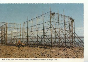 Canada Postcard - Fish Weir at Low Tide - Bay of Fundy -Nova Scotia - Ref TZ1525