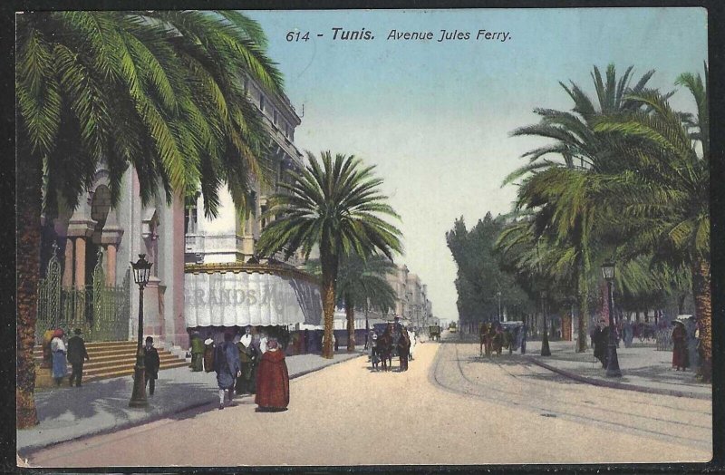 View of Avenue Jules Ferry, Tunis, Tunisia,  Early Postcard, Unused