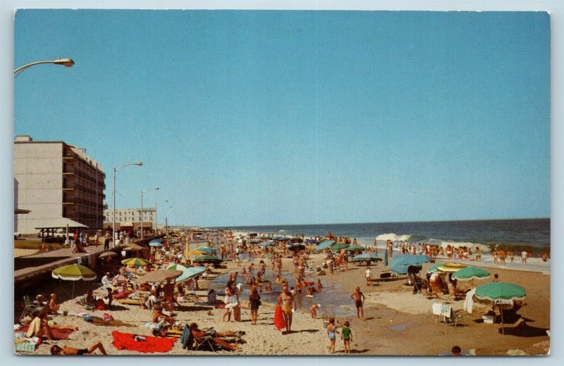 Postcard DE Rehoboth Beach c1960s Beach Bathers Hotels Boardwalk M04