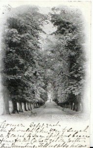 Shropshire Postcard - The Quarry Avenue - Shrewsbury - Ref TZ4541