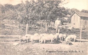 Prosperous Farmer Wellsville, New York  