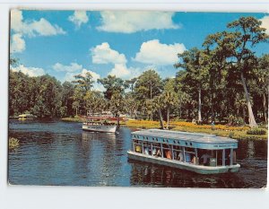 Postcard Each year millions of visitors enjoy the wonders of Silver Springs, FL