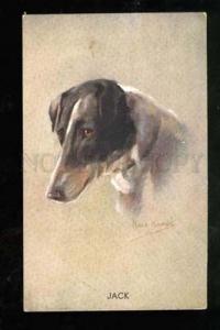 029414 JACK RUSSELL TERRIER. By KIRMBE. Vintage PC