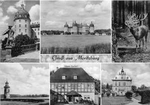 BG31777   moritzburg   germany  CPSM 14.5x10cm