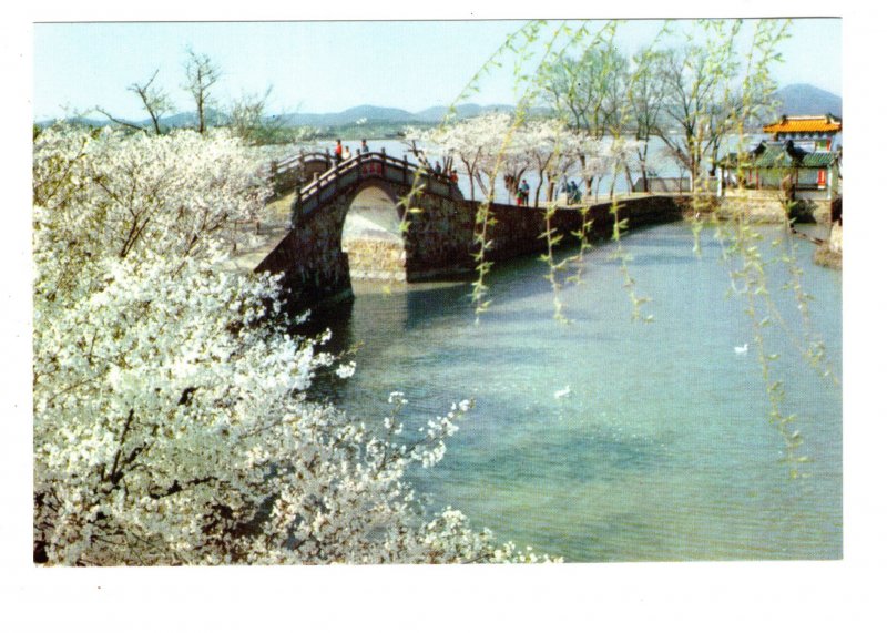 Perpetual Spring Bridge, China,