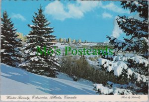 Canada Postcard - Snow Scene, Winter Beauty, Edmonton, Alberta Ref.RR14662