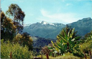 VINTAGE POSTCARD THE VENZEULAN ANDES MOUNTAINS