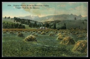 Montana Bitter root Valley Vintage Postcard PC Unused 