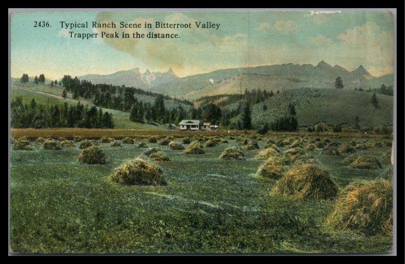 Montana Bitter root Valley Vintage Postcard PC Unused 