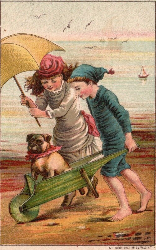 1880s-90s Boy & Girl w/ Dog Cart John Dodds Sulky Hay Rakes Trade Card Dayton OH