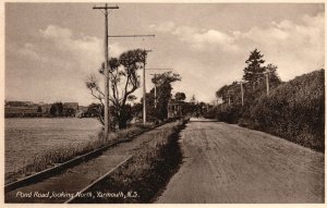 Vintage Postcard 1910's Pond Road looking North Yarmouth Nova Scotia Canada CAN