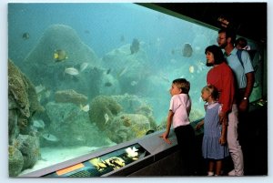 CORPUS CHRISTI, TX ~ Coral Reef Fish TEXAS STATE AQUARIUM Kids 4x6 Postcard