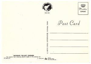 Anchorage Twilight Panorama Skyline Alaska AK Continental Postcard