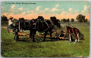 Farmer In The Hay Field Horses Western Canada Posted Postcard 1910's