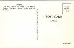 US HORSE SUNFLOWER STATE GREETINGS FROM KANSAS CHROME POSTCARD