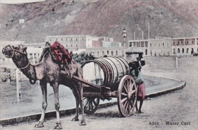 Yemen Aden Typical Water Cart and Camel