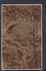 Wales Postcard - Circular Bridge, Devil's Bridge, Aberystwyth    RS19397