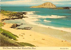 Makapuu Beach  - Windward Oahu, Hawaii