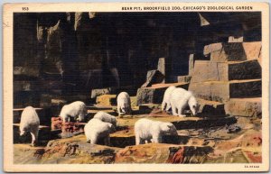 1938 Chicago IL, Bear Pit, Brookfield Zoo, Chicago's Zoological Garden, Postcard