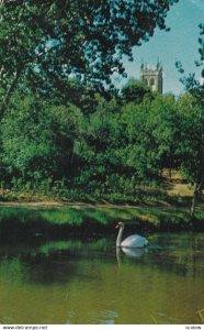 SASKATOON, Saskatchewan, Canada,1940s-Present; Beautiful Central Park in Moos...