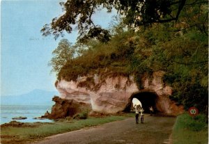 Martinique's stunning Route de Carbet to St-Pierre.! postcard