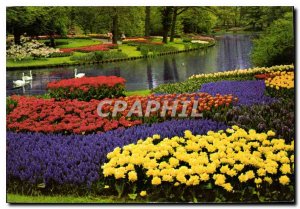 Modern Postcard Holland in parute flowers