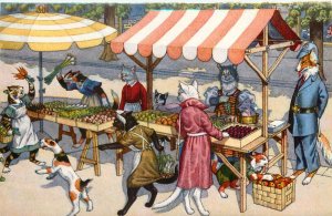 Swiss Mainzer Dressed Anthropomorphic Cats At Fruit Vendors Postcard 4756