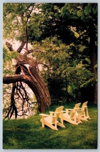 Muskoka Chairs, Geneva Park, Orillia Ontario, Chrome Postcard #3