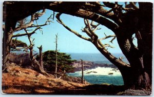 Postcard - On the coastline, Point Lobos Park on Look Trail - California