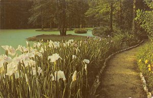 Swan Lake Iris Gardens Sumter, South Carolina  