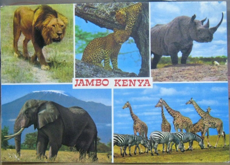 Kenya Jambo Animals Multi-view - posted 1988