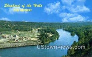 Shepherd of the Hills, Fish Hatchery in Branson, Missouri