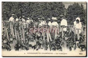 Old Postcard Folklore Wine Vintage Champagne pickers