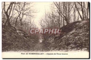 Old Postcard Park Rambouillet path eleven