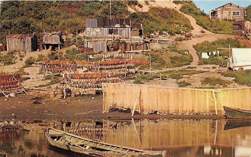 Kobuk River Alaska~Drying Salmon in Fishing Village~Log Cabins~Boat in Water~'50