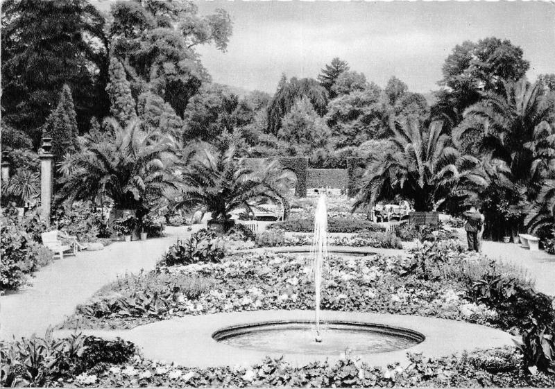 BG29478 bad pyrmont partie im palmengarten   germany CPSM 14.5x10cm