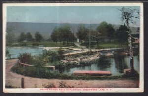 Swing Bridge Near Maplewood,Grrenwood Lake,NY BIN