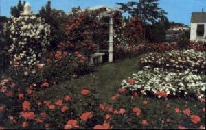 Jackson and Perkins Rose Garden - Newark, New York