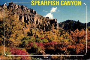 South Dakota Black Hills Spearfish Canyon