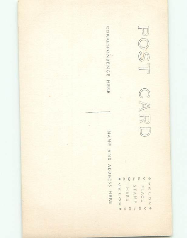 Old rppc NATURE SCENE Great Postcard AB0698