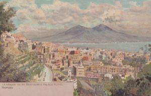 Bertolini's Palace Hotel Naples Aerial View Italian Antique Postcard