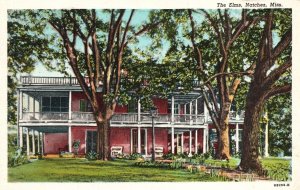 Vintage Postcard Elms Court Historic Building Grounds Natchez Mississippi MS