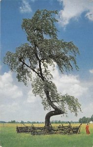 Indian Trail Marker 2 1/4 miles north of Upper Sandusky - Upper Sandusky, Ohi...