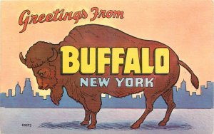 1940s Buffalo New York Large Letters multi View Colorpicture Postcard 25-11147