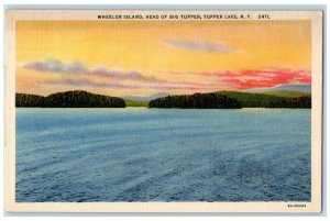 c1930's Wheeler Island Head Of Bug Tupper, Tupper Lake New York NY Postcard