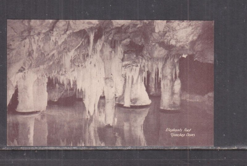 WESTERN AUSTRALIA, YANCHEP CAVES, ELEPHANT'S FOOT, c1950 photo ppc.