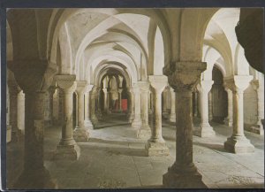 Worcestershire Postcard - Worcester Cathedral, The Crypt   T7040