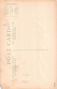 B215 Canada City Hall Toronto Clock Tower vintage postcard