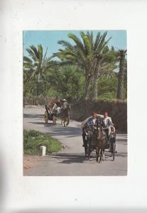 BF27924 gabes promenade a travers l oasis  tunisia  front/back image